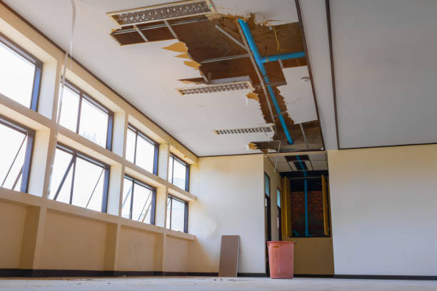 Best Carpet water damage restoration  in Arnold, MO