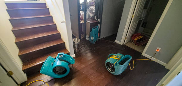 Fire Damage Restoration in Arnold, MO