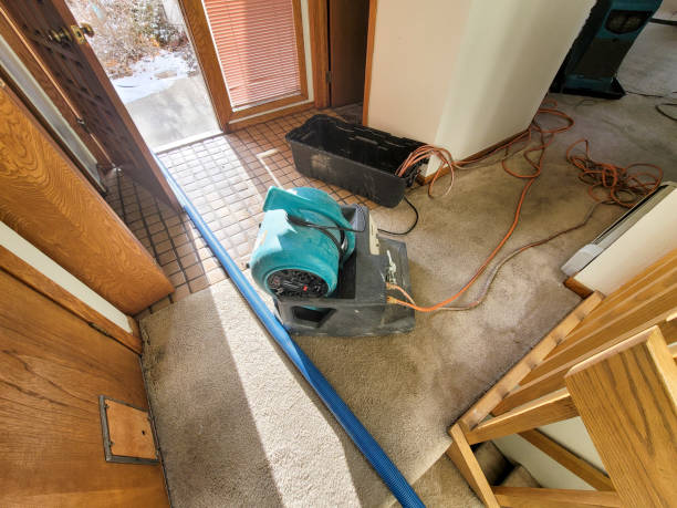 Best Ceiling water damage repair  in Arnold, MO
