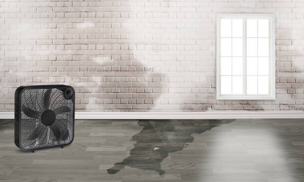 Best 24-hour water damage restoration  in Arnold, MO