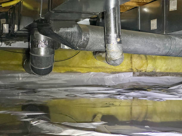 Best Flood damage cleanup  in Arnold, MO