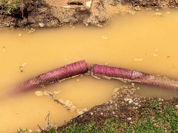 Best Water damage mitigation services  in Arnold, MO