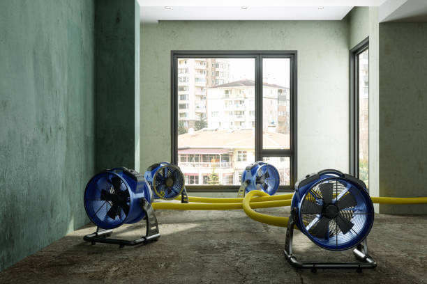 Best Ceiling water damage repair  in Arnold, MO